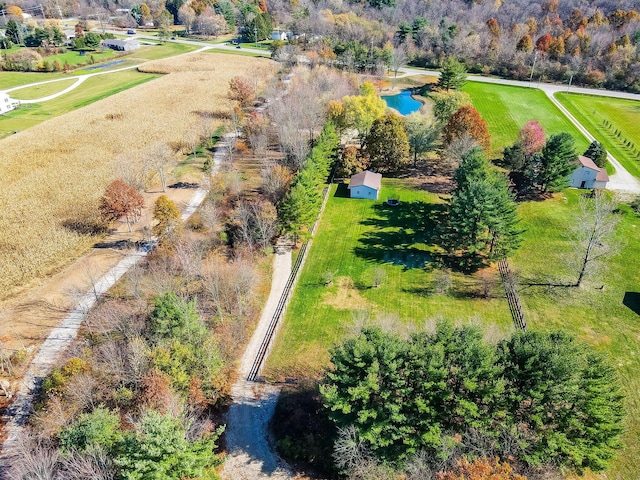 birds eye view of property featuring a rural view