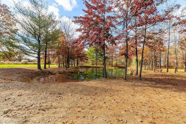 view of yard with a water view