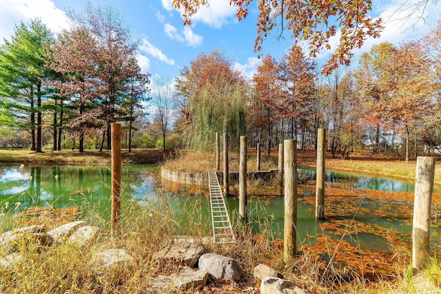 view of water feature