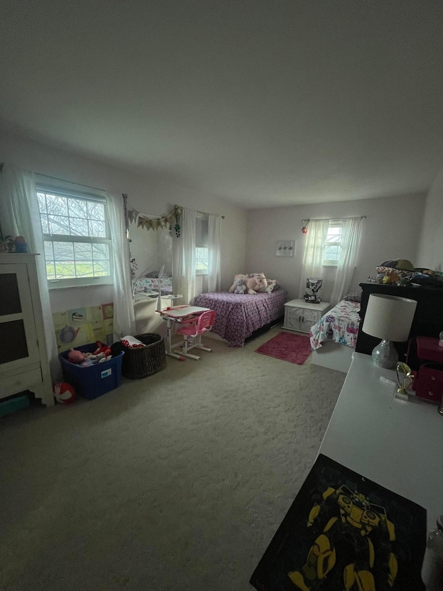 bedroom with carpet floors