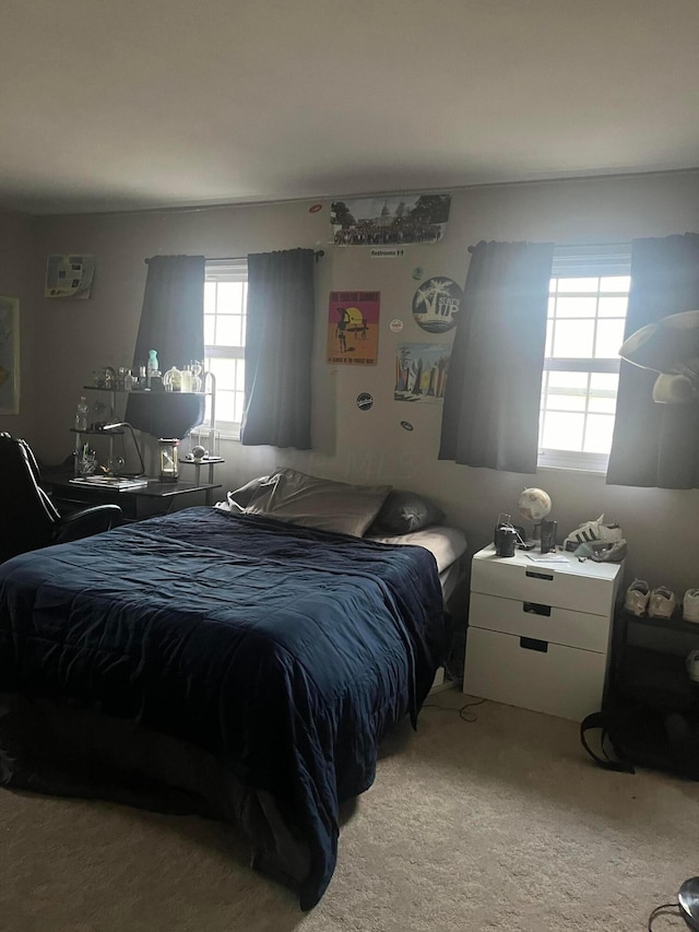 view of carpeted bedroom