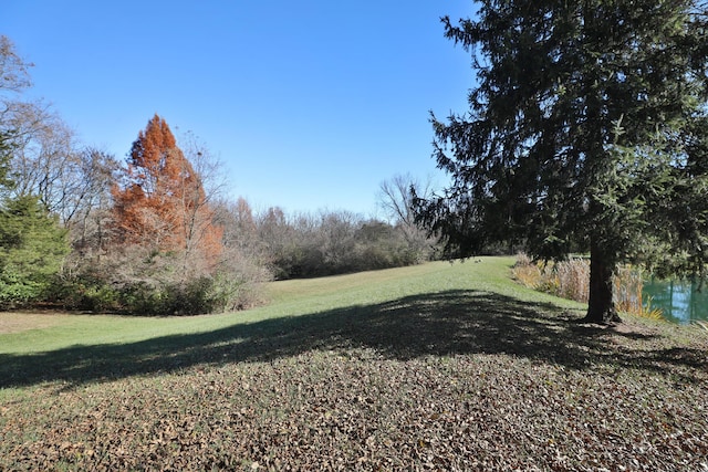 view of yard featuring a water view