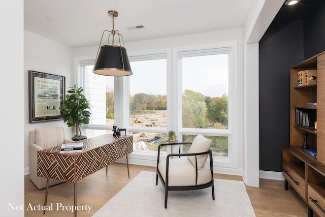 living area featuring light hardwood / wood-style floors and a wealth of natural light