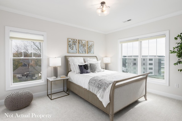 carpeted bedroom with multiple windows and crown molding