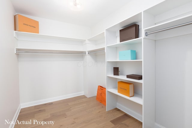 walk in closet featuring light wood-type flooring