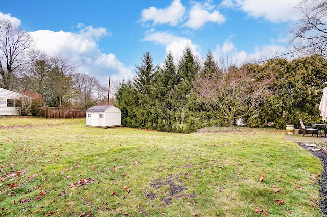 view of yard featuring a patio and a storage unit