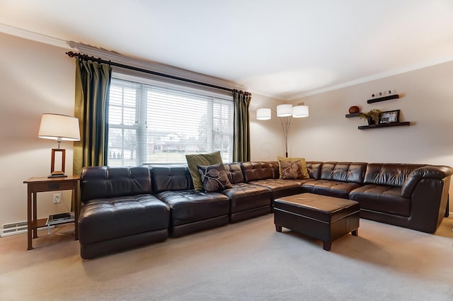 carpeted living room featuring crown molding and a baseboard heating unit