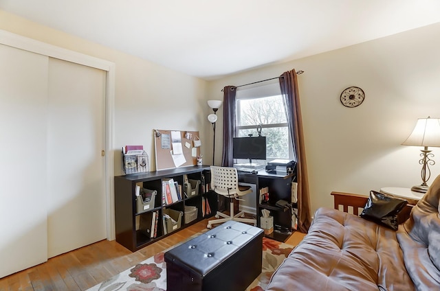 living room with hardwood / wood-style floors