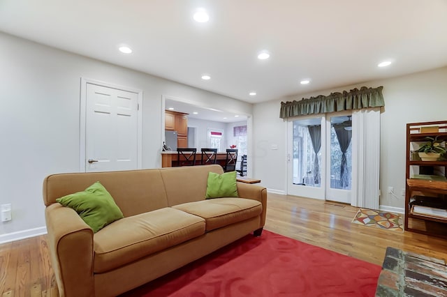 living room featuring light hardwood / wood-style flooring