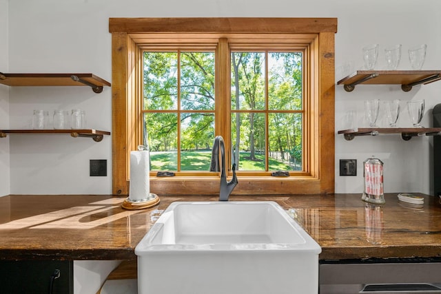 kitchen with plenty of natural light and sink