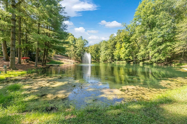 view of water feature