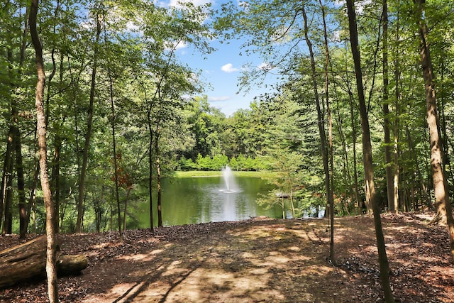 view of water feature