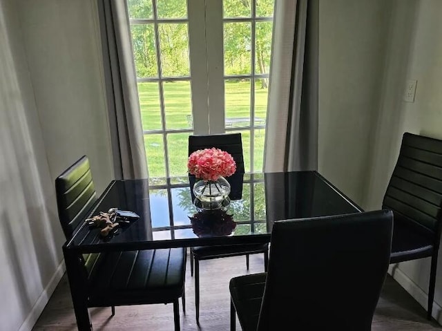 dining area with a wealth of natural light and wood-type flooring