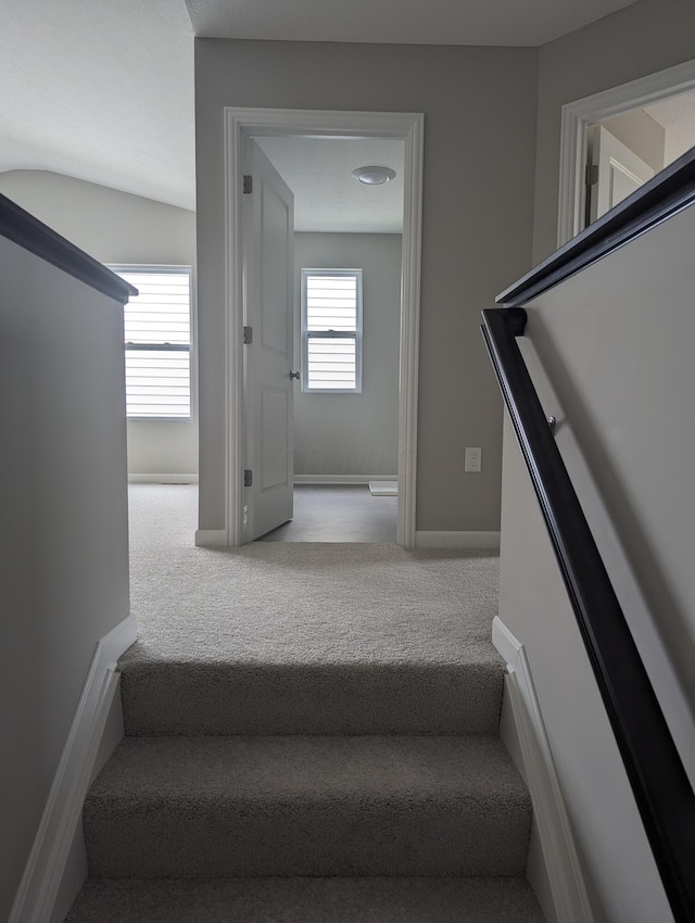 stairs with carpet floors