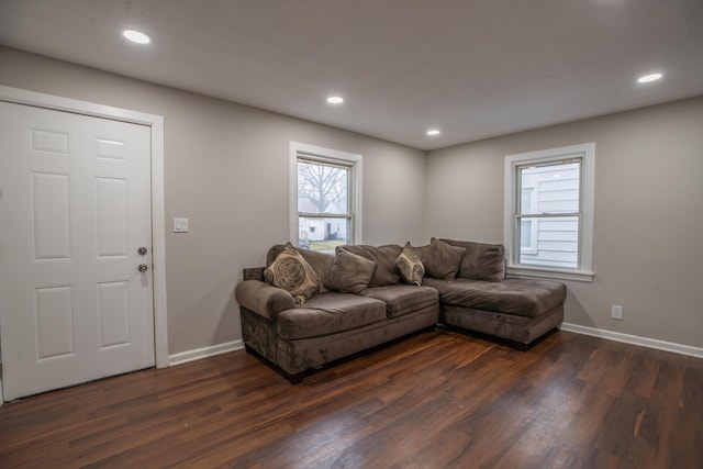 living room featuring dark hardwood / wood-style flooring