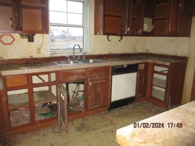 kitchen with dishwasher and sink