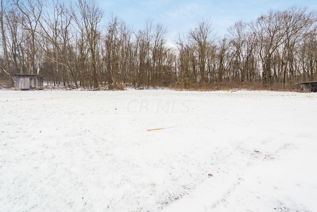 view of yard covered in snow