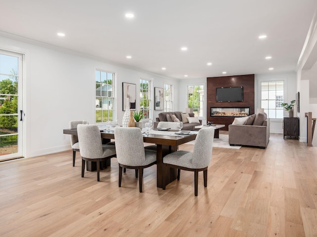 dining space with a fireplace, light hardwood / wood-style floors, and crown molding