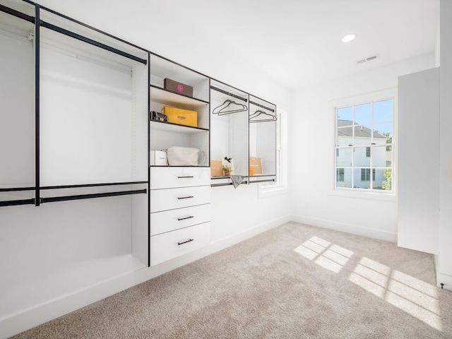 spacious closet with carpet flooring