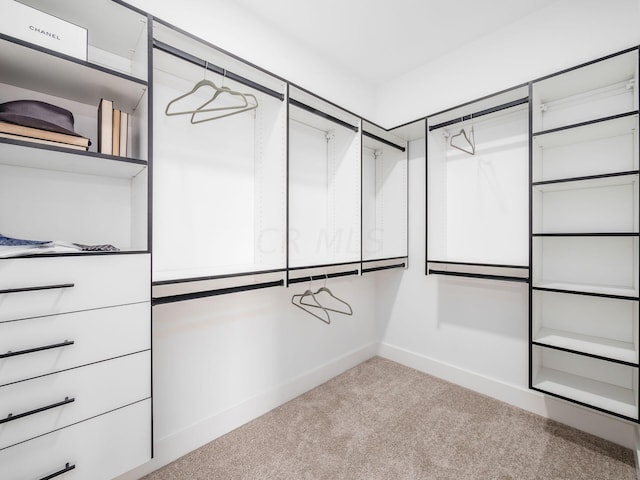 walk in closet with light colored carpet