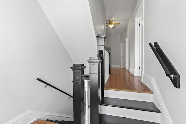 stairs featuring wood-type flooring and ceiling fan