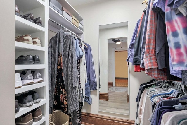 walk in closet with wood-type flooring