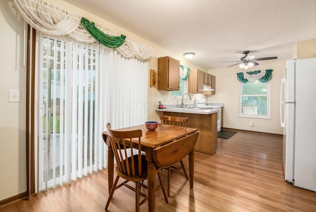 dining area featuring ceiling fan, sink, a textured ceiling, and light wood-type flooring