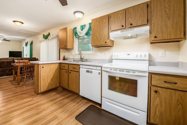 kitchen with a textured ceiling, white appliances, ceiling fan, sink, and light hardwood / wood-style flooring