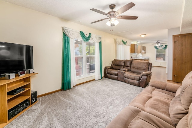 carpeted living room featuring a textured ceiling