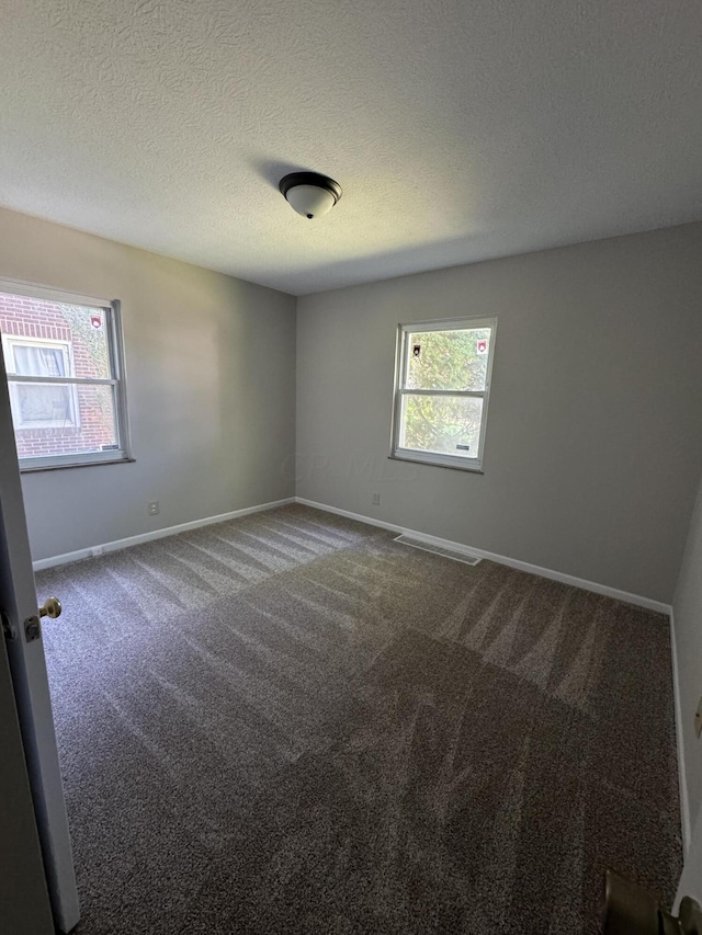 spare room with carpet and a textured ceiling