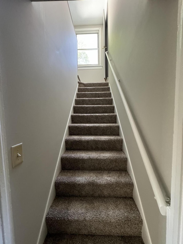 stairs featuring carpet