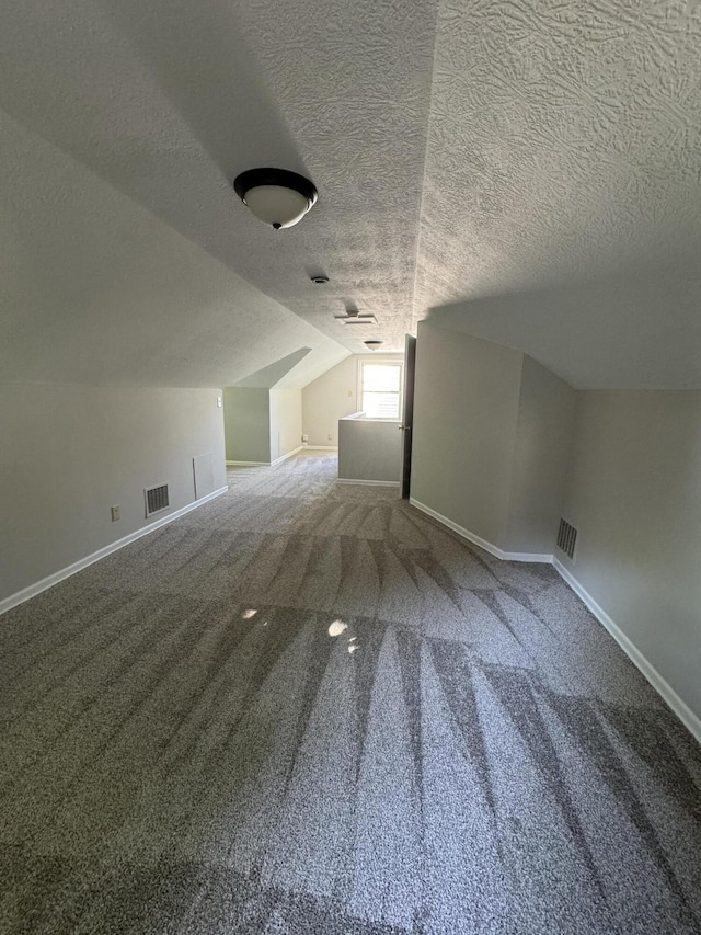 additional living space featuring carpet, a textured ceiling, and vaulted ceiling