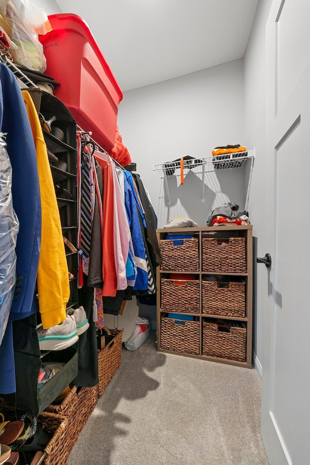 walk in closet with carpet flooring