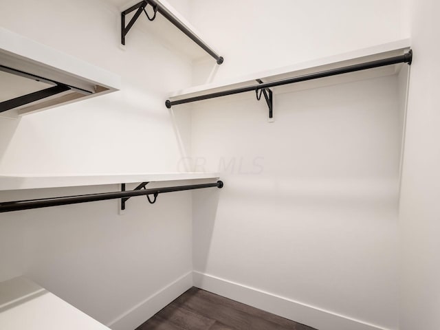 spacious closet featuring dark hardwood / wood-style flooring