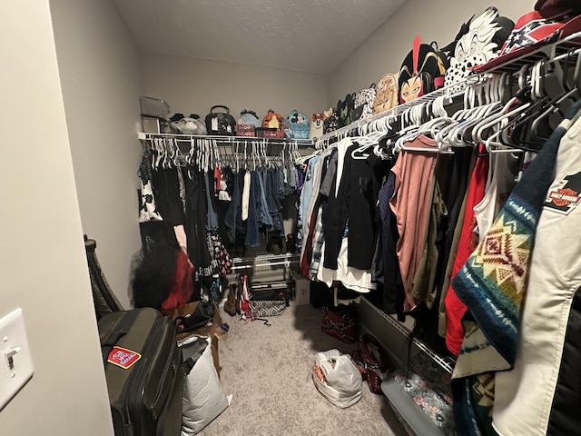 spacious closet featuring carpet floors