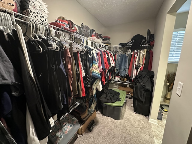 spacious closet with carpet flooring