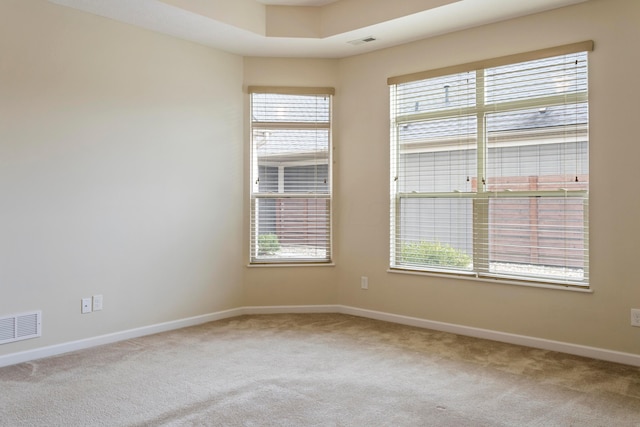 empty room featuring carpet flooring and a wealth of natural light