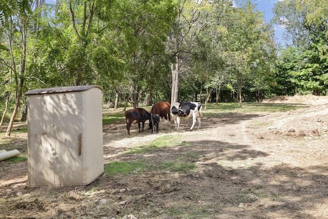 view of yard with a rural view