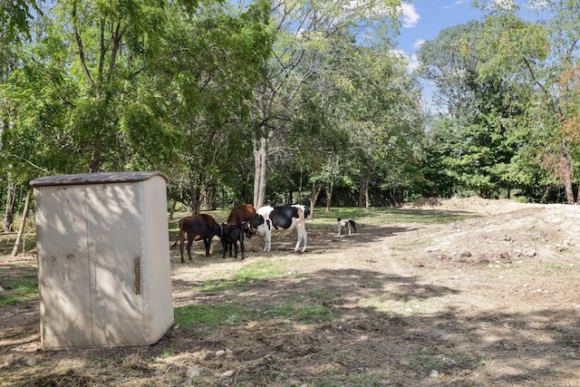 view of yard featuring a rural view