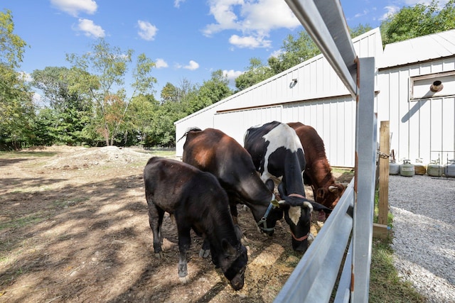 view of horse barn