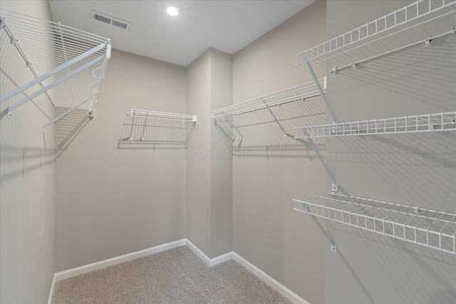 walk in closet with carpet flooring