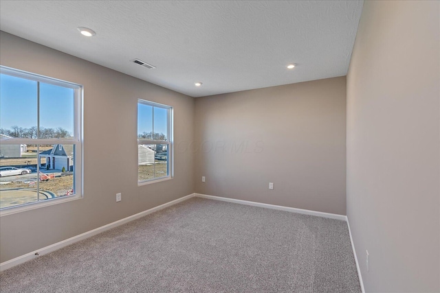 empty room with carpet flooring and a textured ceiling