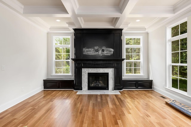 unfurnished living room with light hardwood / wood-style floors, plenty of natural light, and ornamental molding