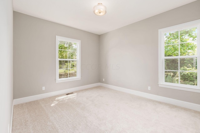 spare room with carpet floors and a wealth of natural light