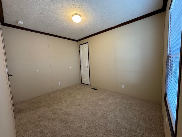 empty room with crown molding, carpet, and a textured ceiling