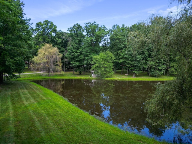 property view of water