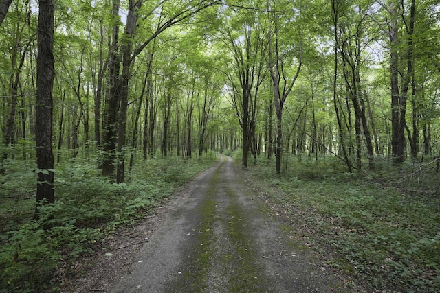 view of road