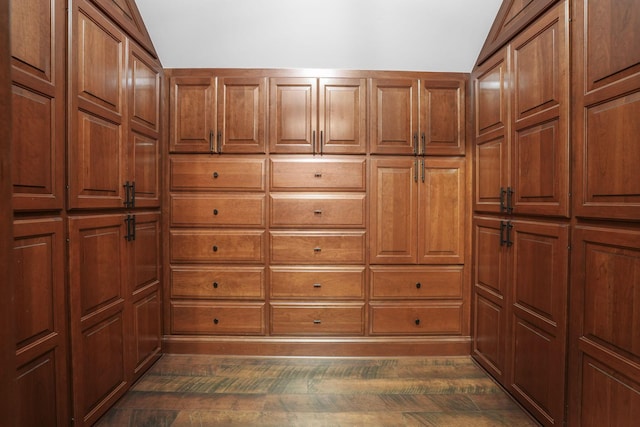 spacious closet featuring dark wood-type flooring and lofted ceiling