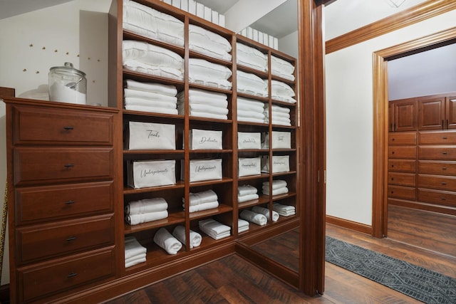 wine room with dark wood-type flooring