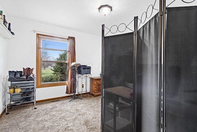 interior space with carpet floors and a textured ceiling